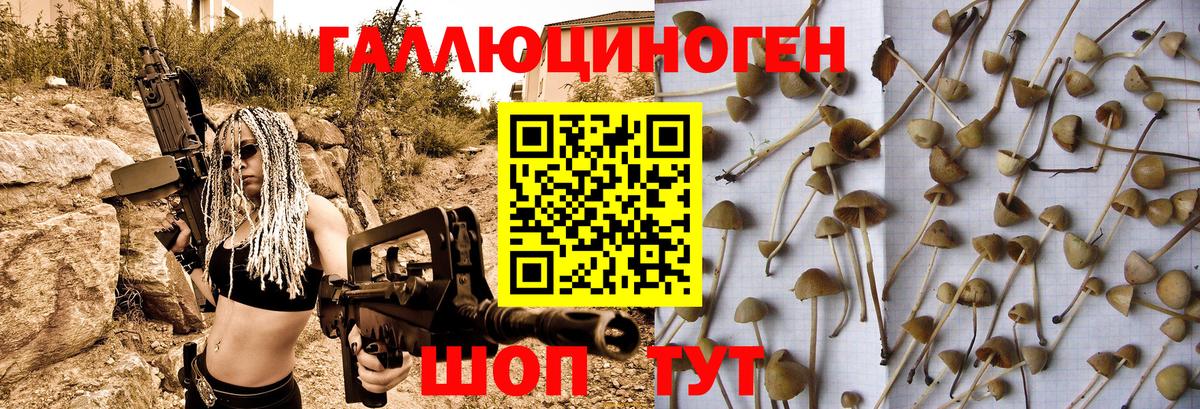 закладки  Вход с VPN  Заринск  Галлюциногенные грибы Psilocybine cubensis  Галлюциногенные грибы Psilocybe 