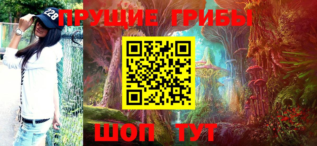 Псилоцибиновые грибы прущие грибы Заринск